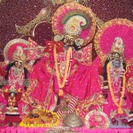 Radha Damodarji