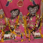 Radha Gokulananda temple in Vrindavana