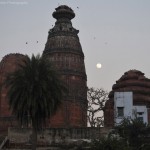 Radha Madanmohanji