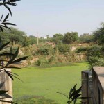 Vihara Kunda meeting place of Radha and Krishna Barsana