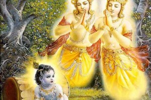 Radhanath Swami – Twin Arjuna trees