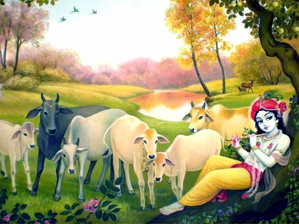 Krishna with cows